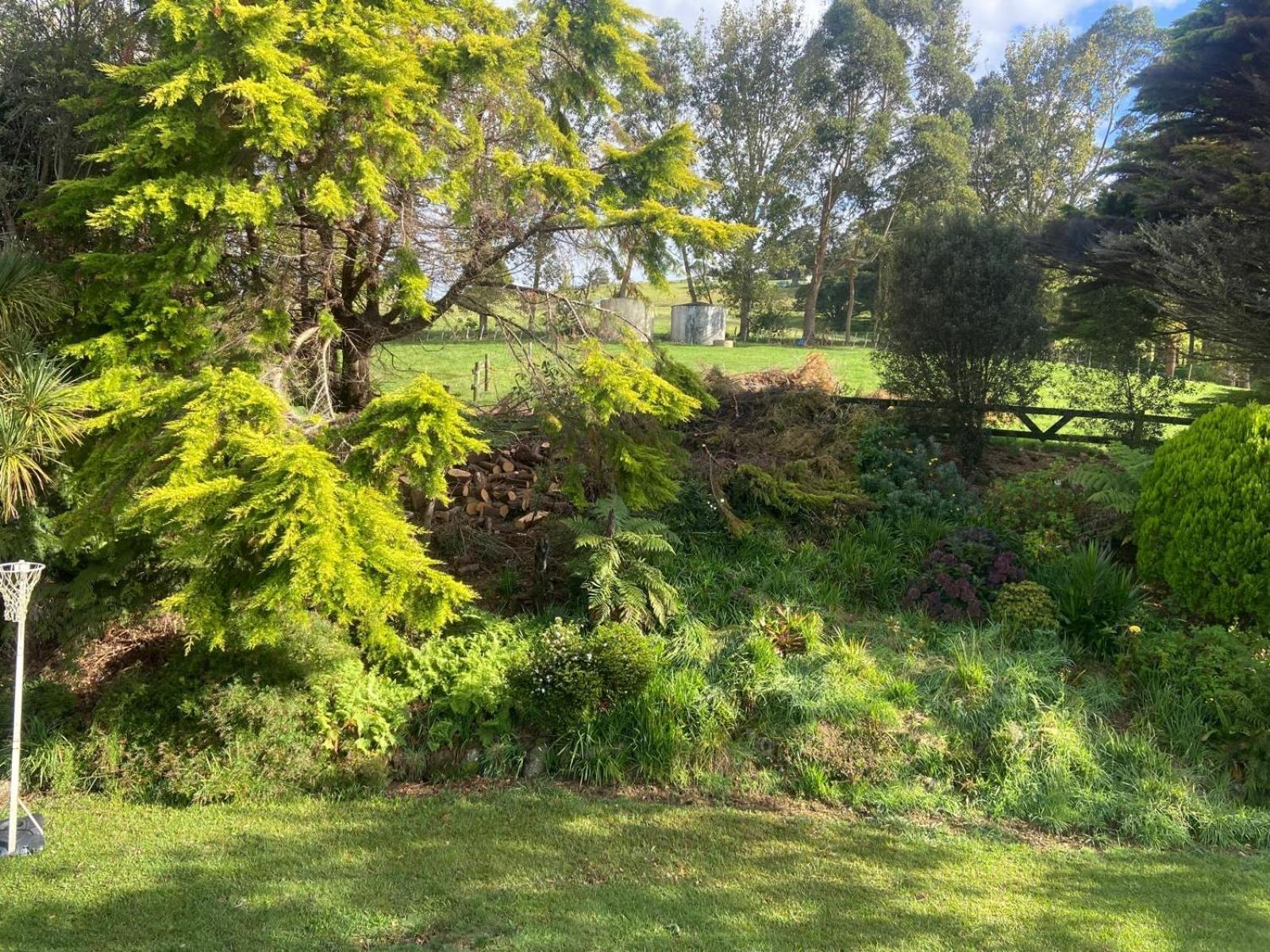 Rus Terraces Διαμέρισμα Kauri Εξωτερικό φωτογραφία