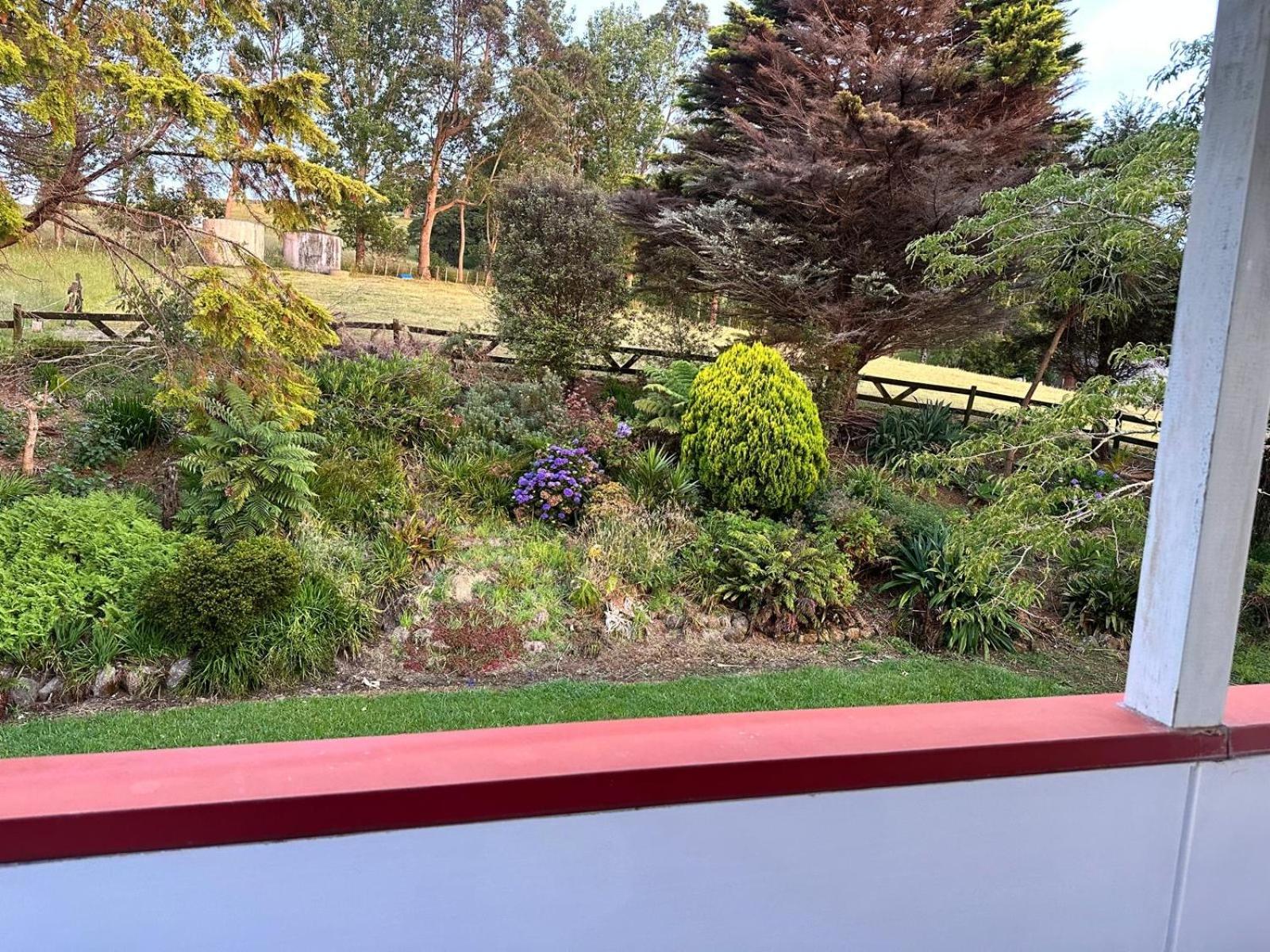 Rus Terraces Διαμέρισμα Kauri Εξωτερικό φωτογραφία